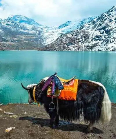 Sikkim